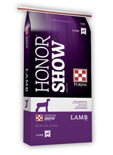 Purina Honor Show Showlamb