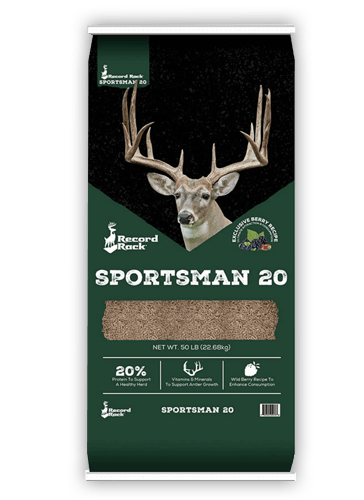 Record Rack Sportsman 20