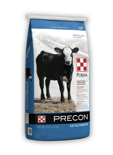 Purina 12% Precon Cattle Feed