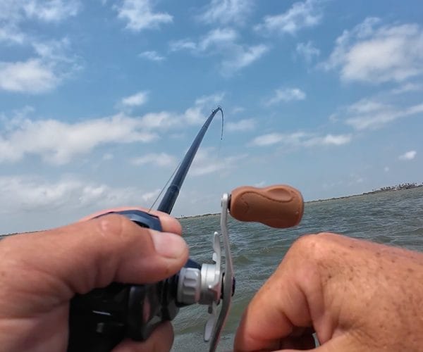venatura reel